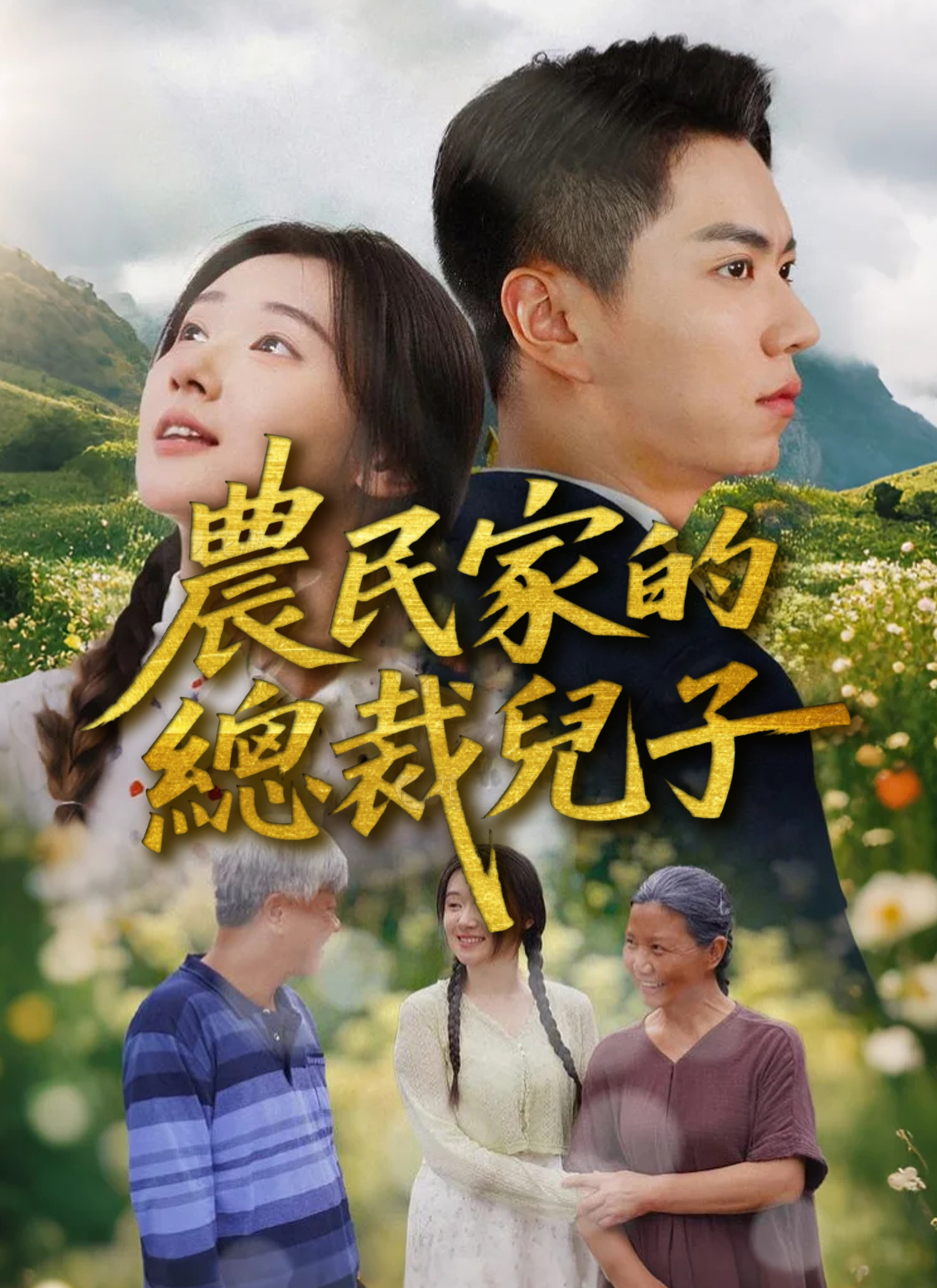 Poster 农民家的总裁儿子