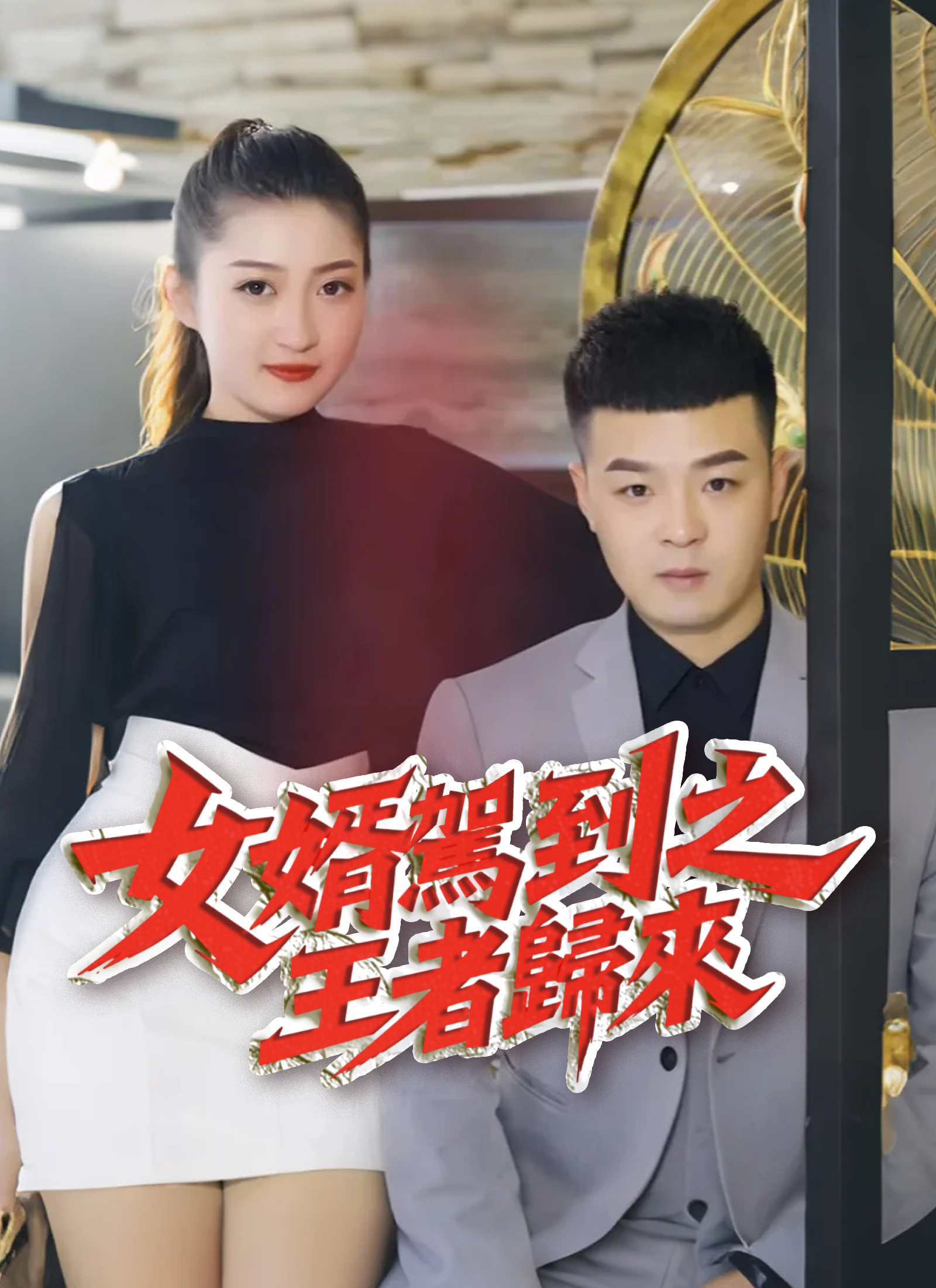 Poster 女婿駕到之王者歸來