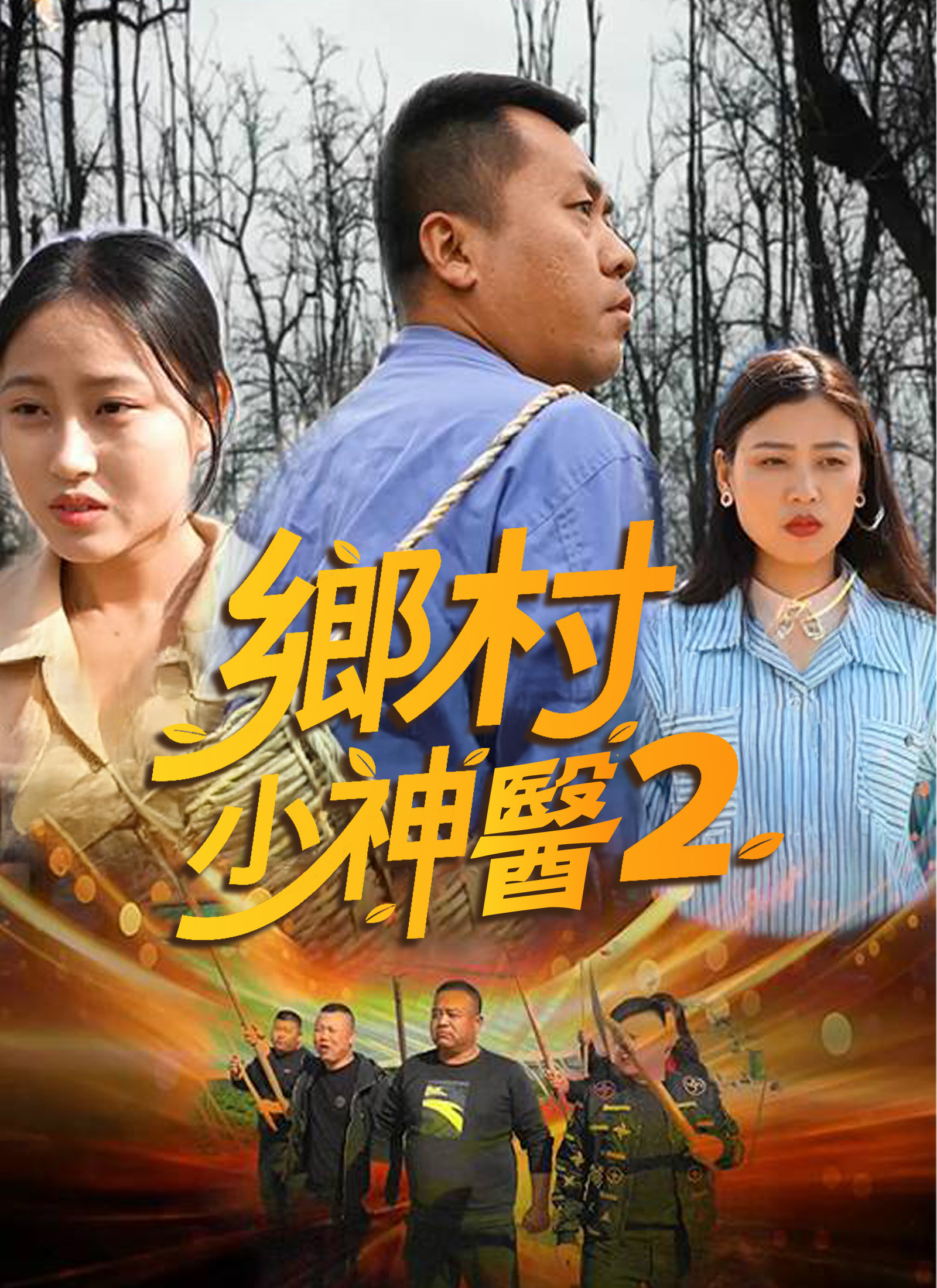 Poster 鄉村小神醫2