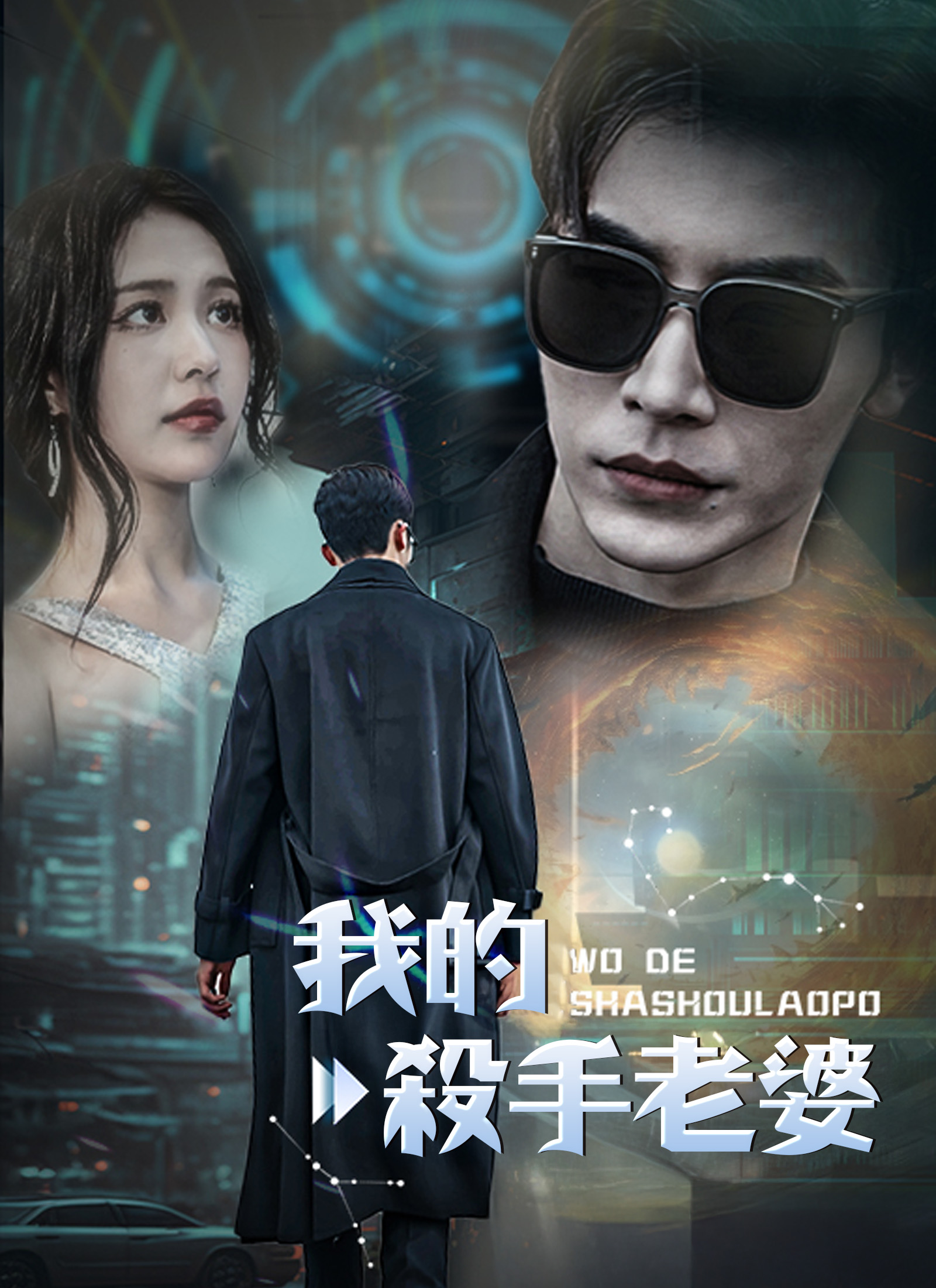 Poster 我的杀手老婆