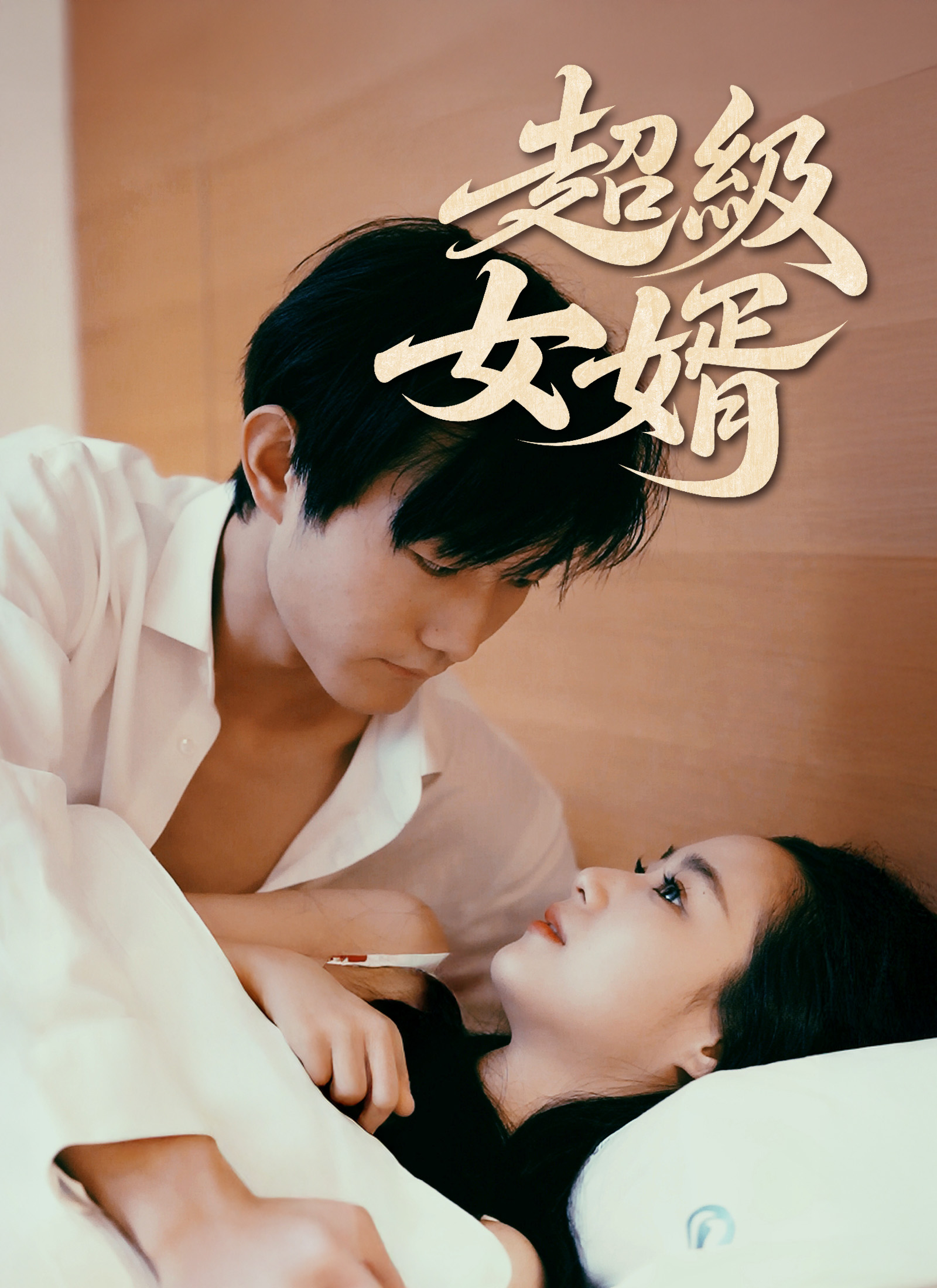 Poster 超級女婿