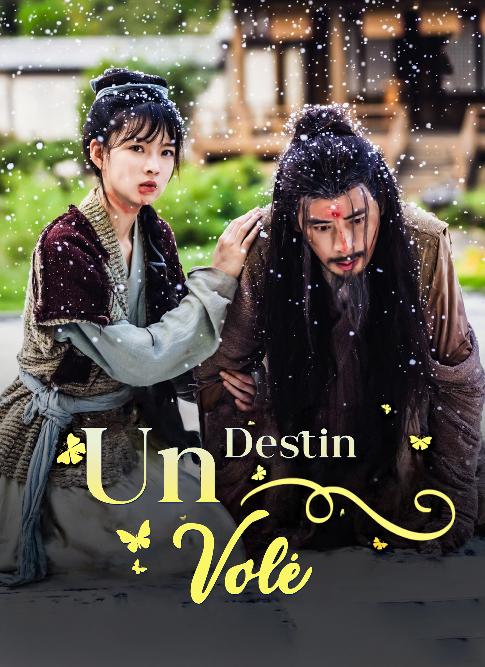 Poster Un Destin Volé
