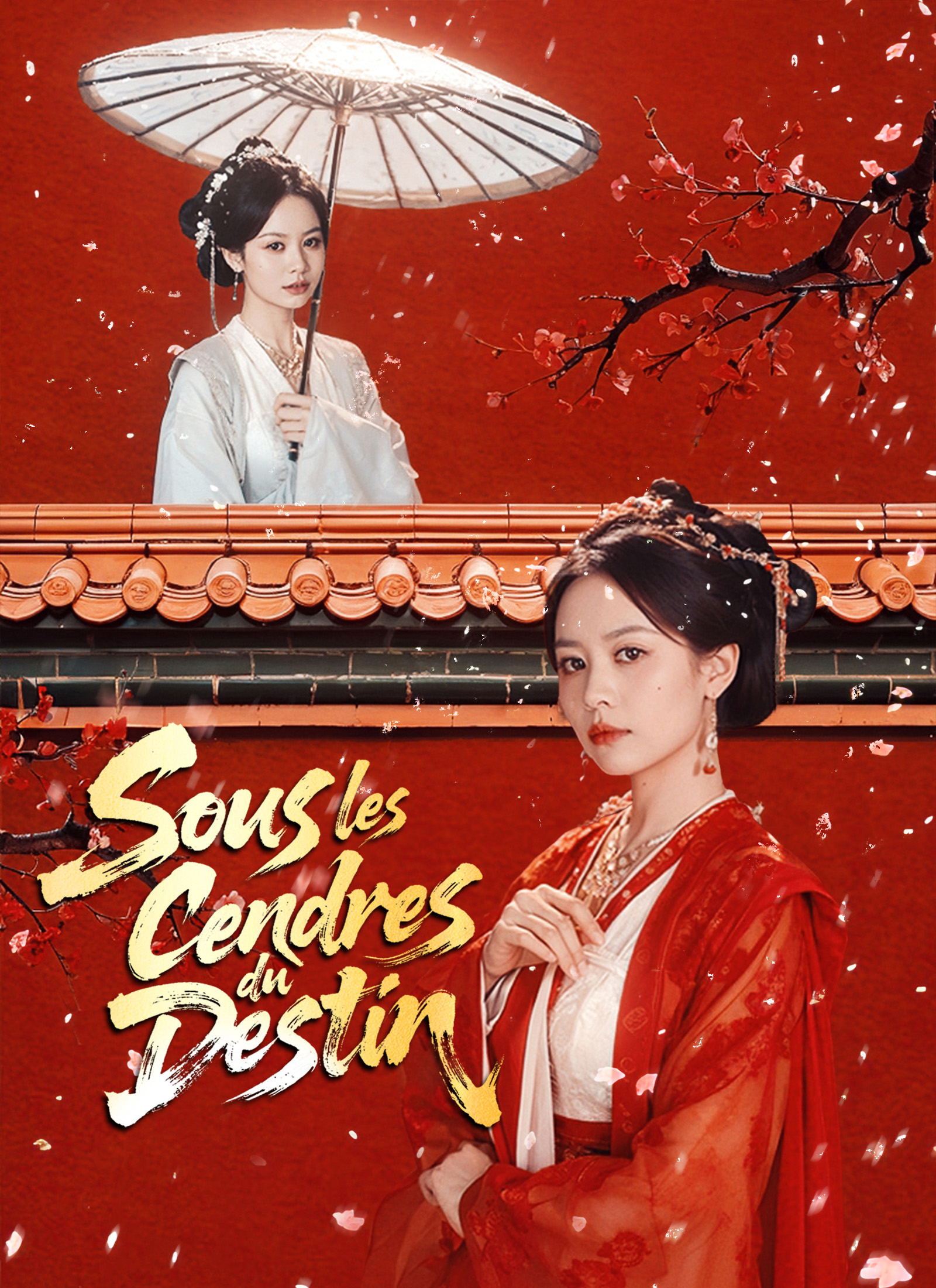 Poster Sous les Cendres du Destin