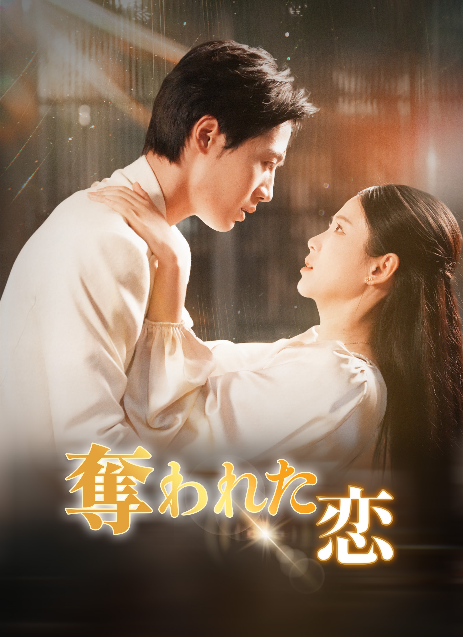 Poster 奪われた恋