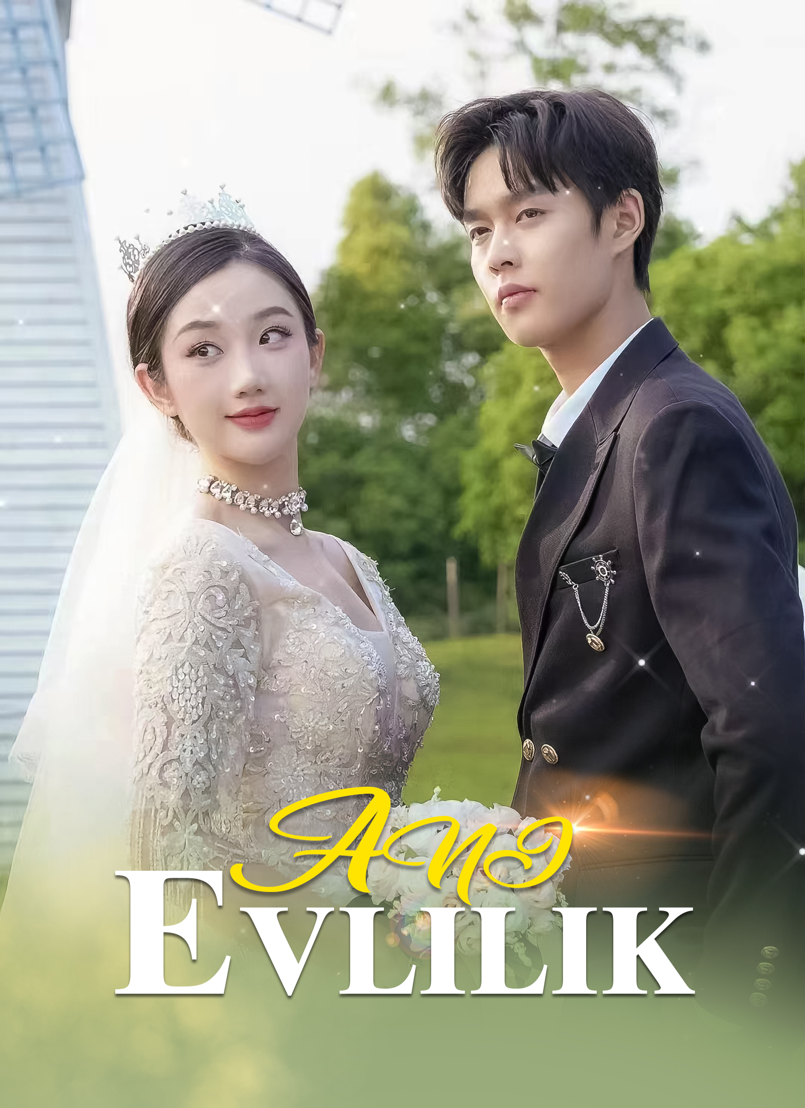Poster Ani Evlilik