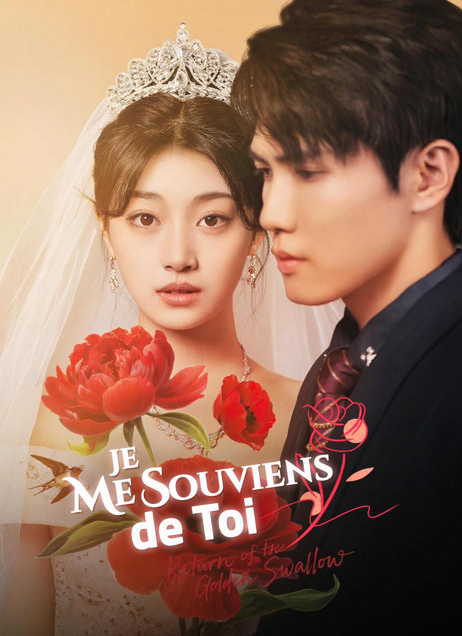 Poster Je Me Souviens de Toi