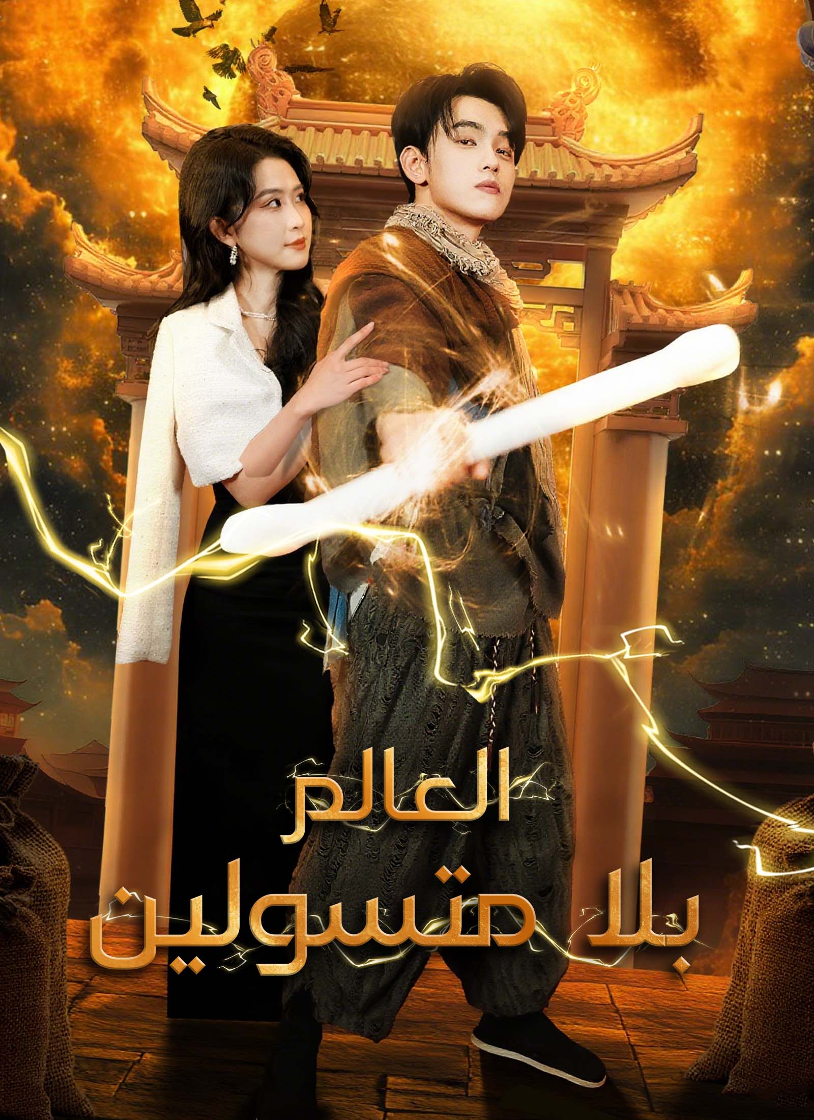 Poster العالم بلا متسولين