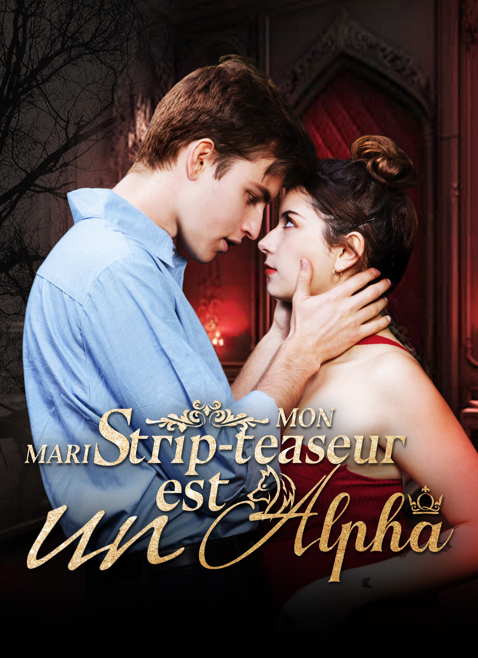 Poster Mon mari strip-teaseur est un Alpha