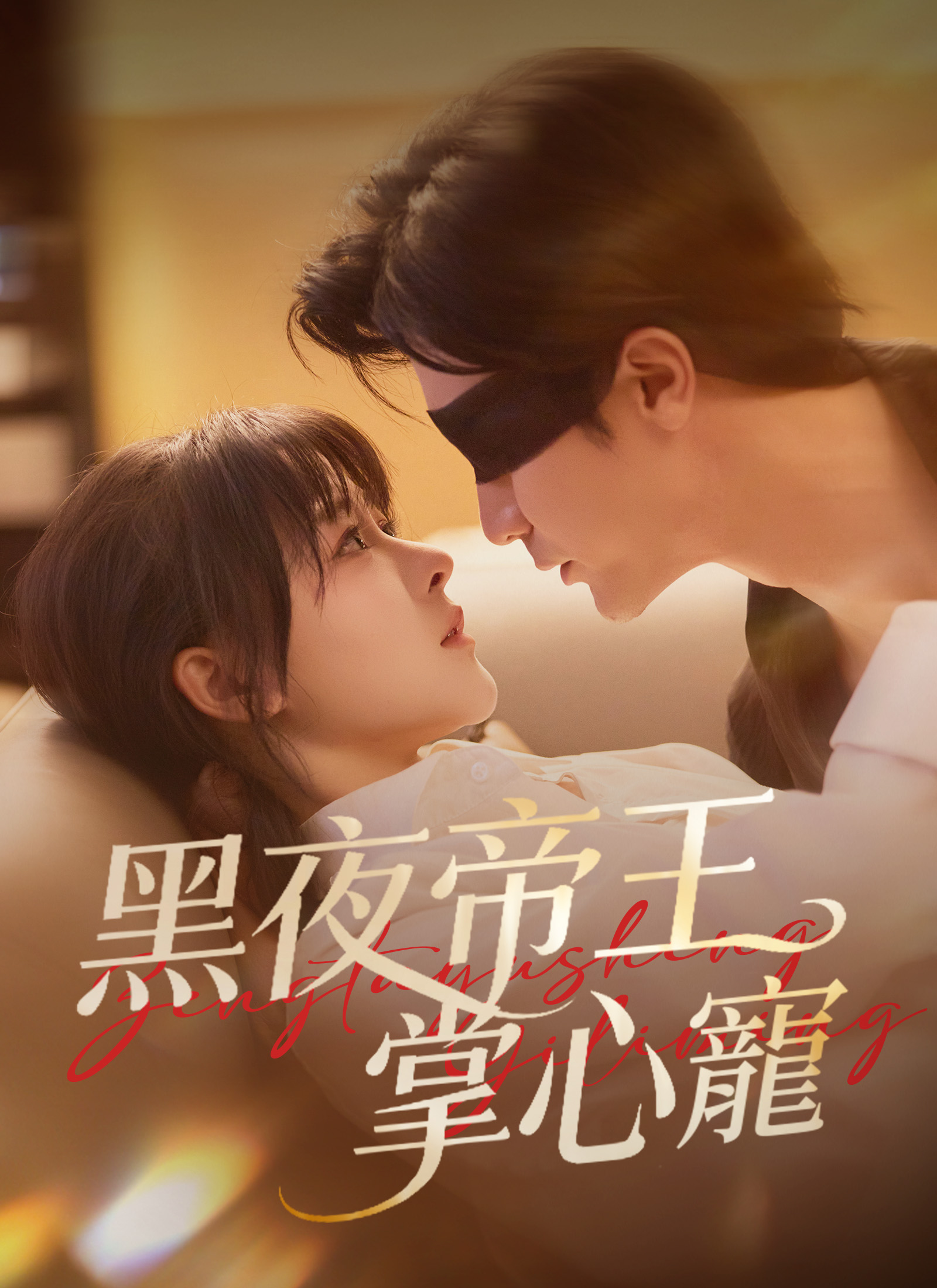 黑夜帝王掌心宠