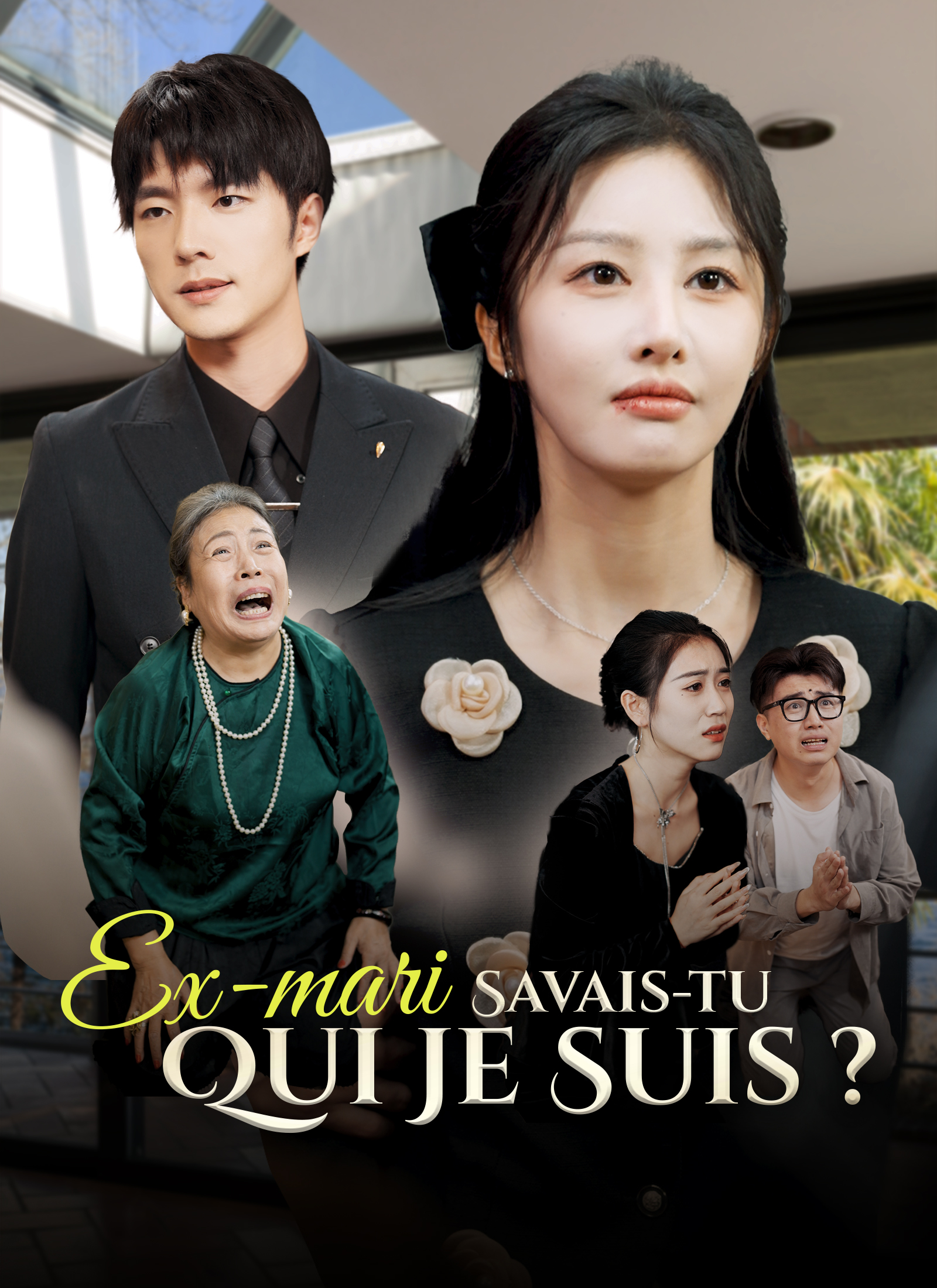 Poster Ex-mari, Savais-tu Qui Je Suis ?