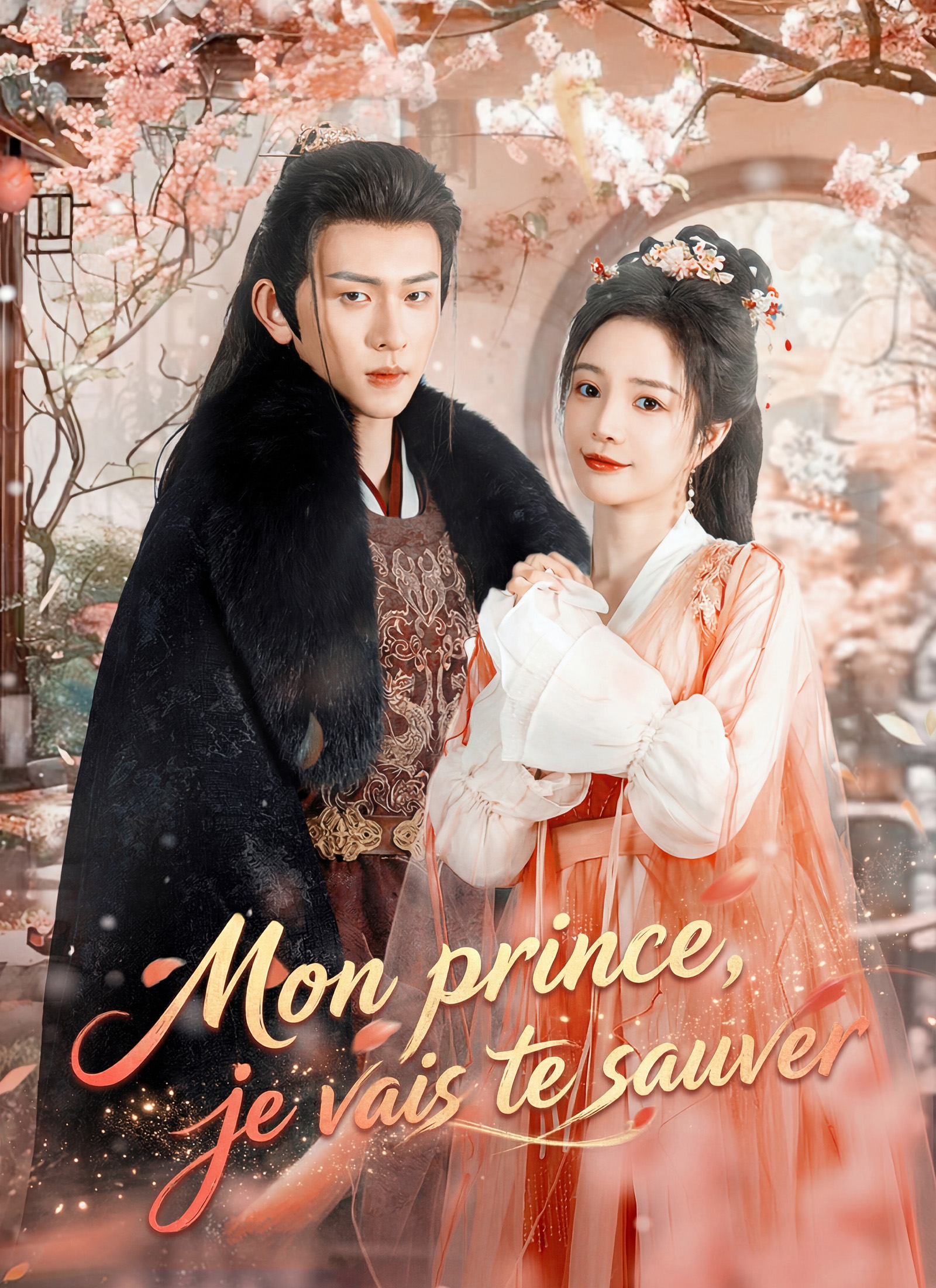 Poster Mon prince, je vais te sauver