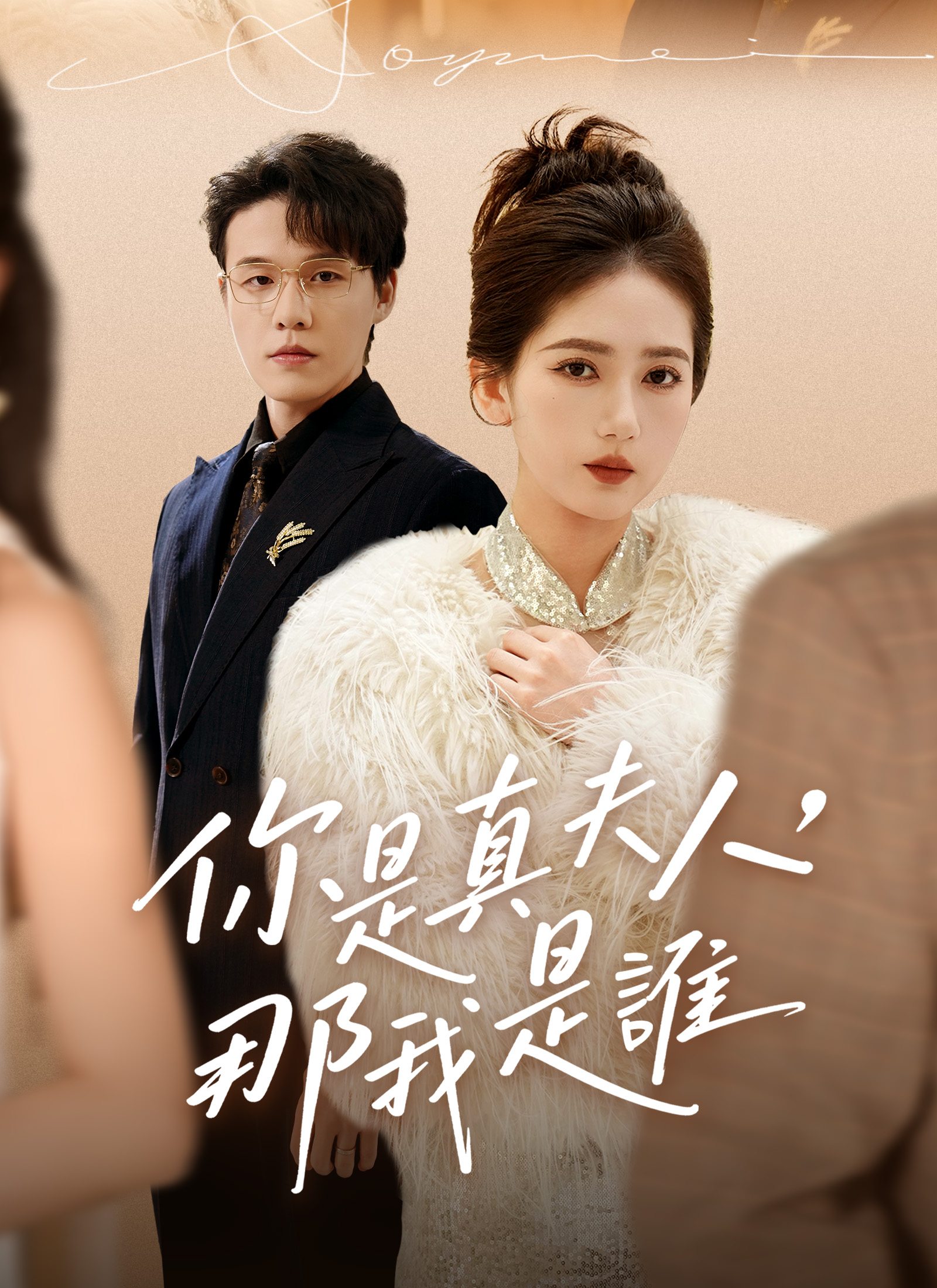 Poster 你是真夫人，那我是誰