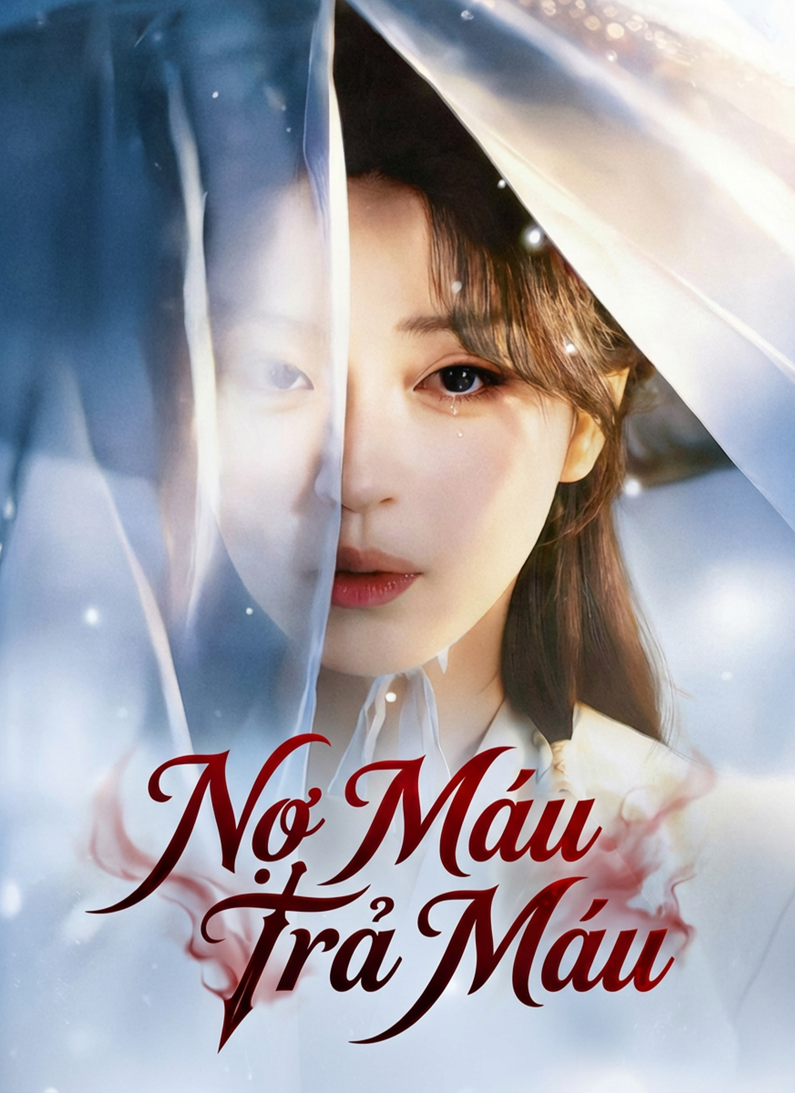 Poster Nợ Máu Trả Máu