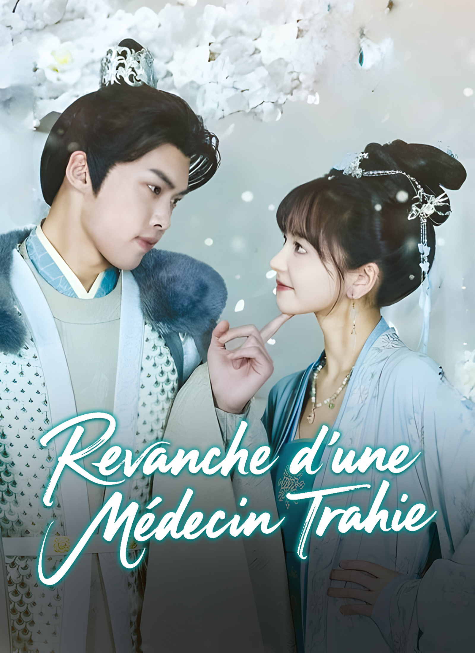 Poster Revanche d’une Médecin Trahie